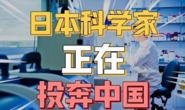 在各方面在线观看,探索数字时代的观影新境界