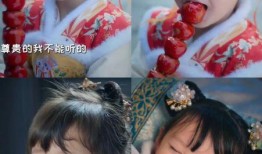 全家听我心声吃瓜全集免费观看,吃瓜盛宴，免费观看大揭秘